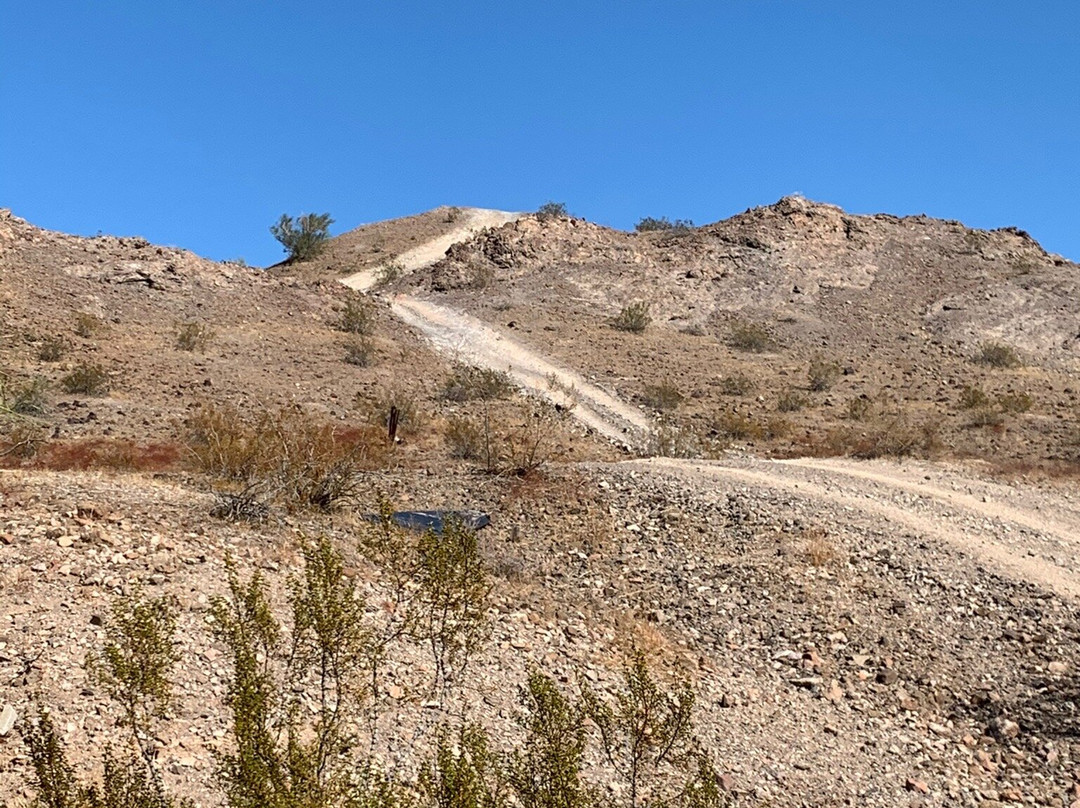 Wet Monkey Powersport Rentals-哈瓦苏湖城必去景点