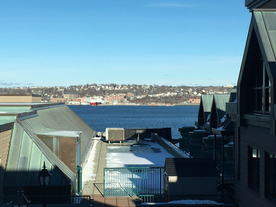 哈利法克斯万豪港湾酒店主图