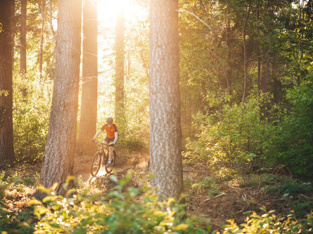 Ultimate Adventures-Borculo必去景点