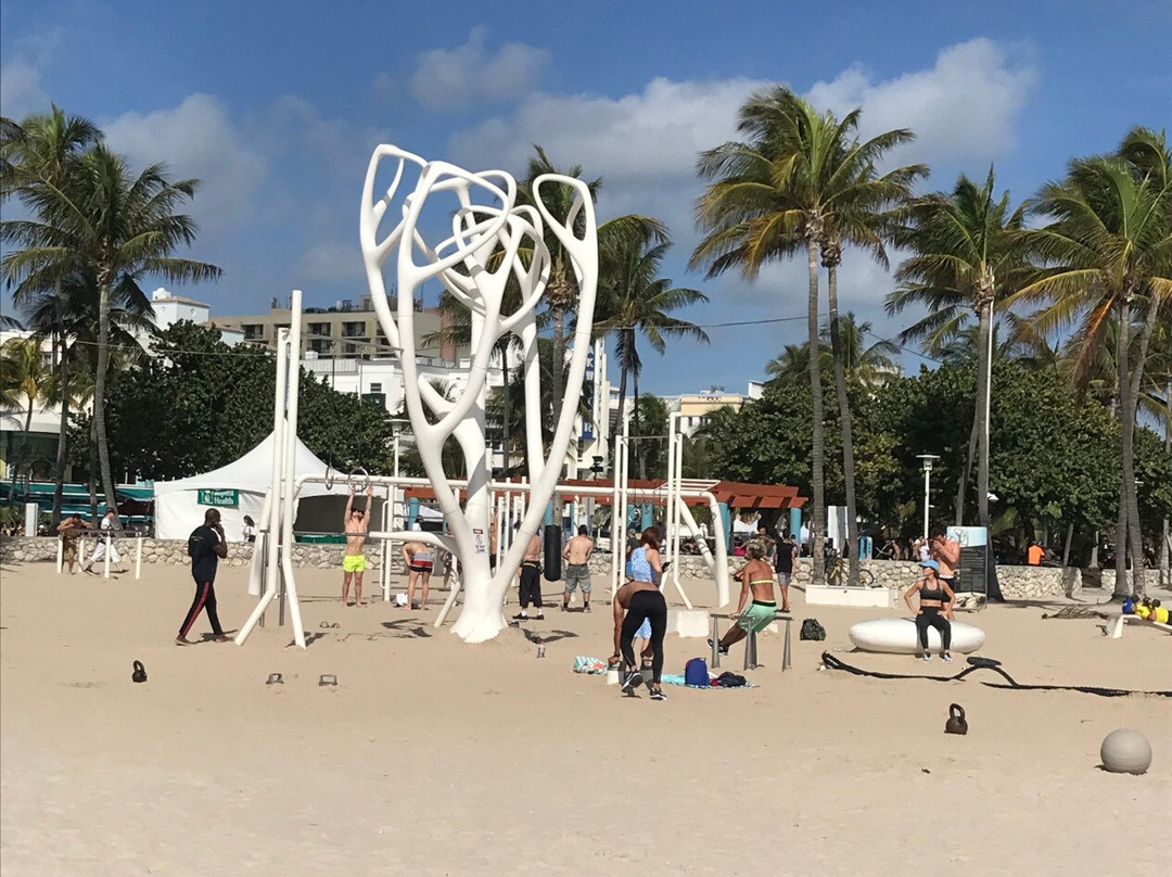 Lummus Park Historic District-迈阿密必去景点