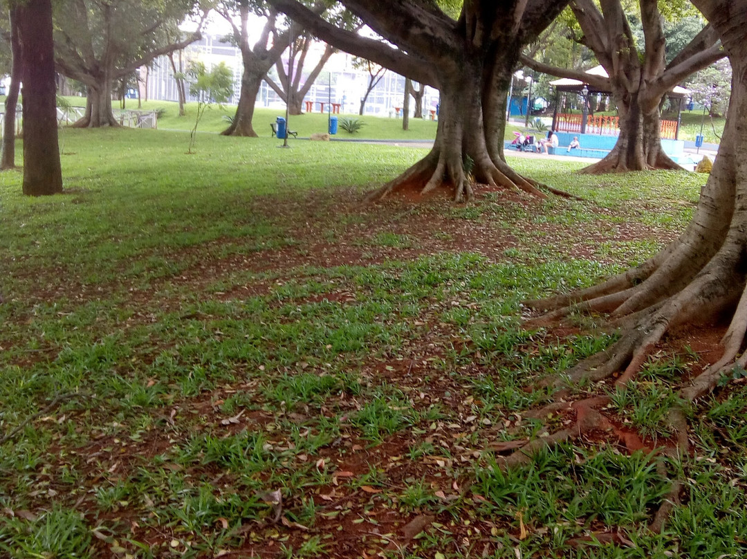 Parque Bosque do Povo-Sao Caetano do Sul必去景点