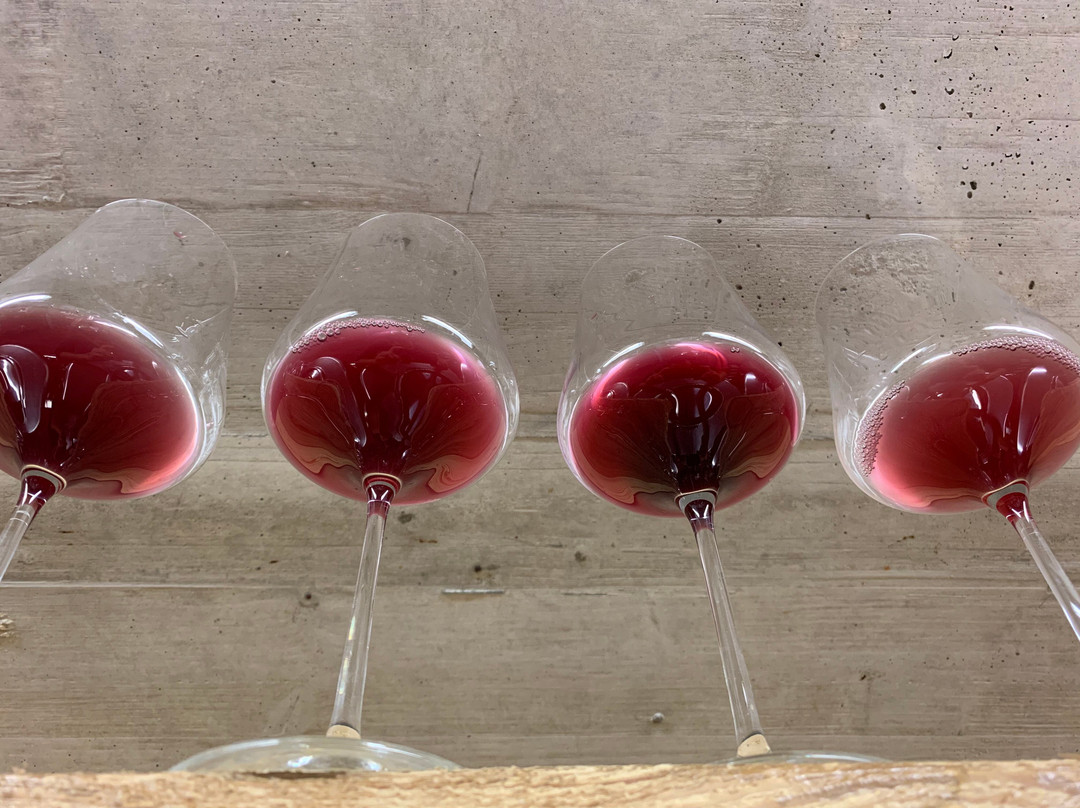 Kellerei Cantina Heiner.-博尔扎诺必去景点