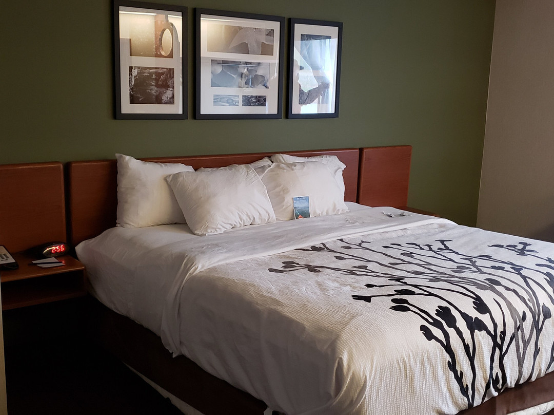 Sleep Inn & Suites Acme - Traverse City主图