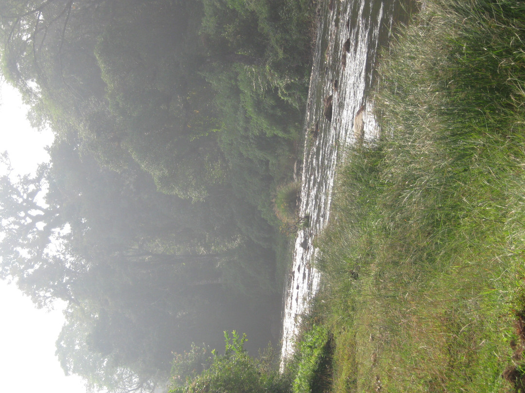 Vattakkuny Wild Orchid Resorts主图