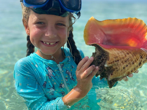 Pig Beach Bahamas Tours-Spanish Wells必去景点