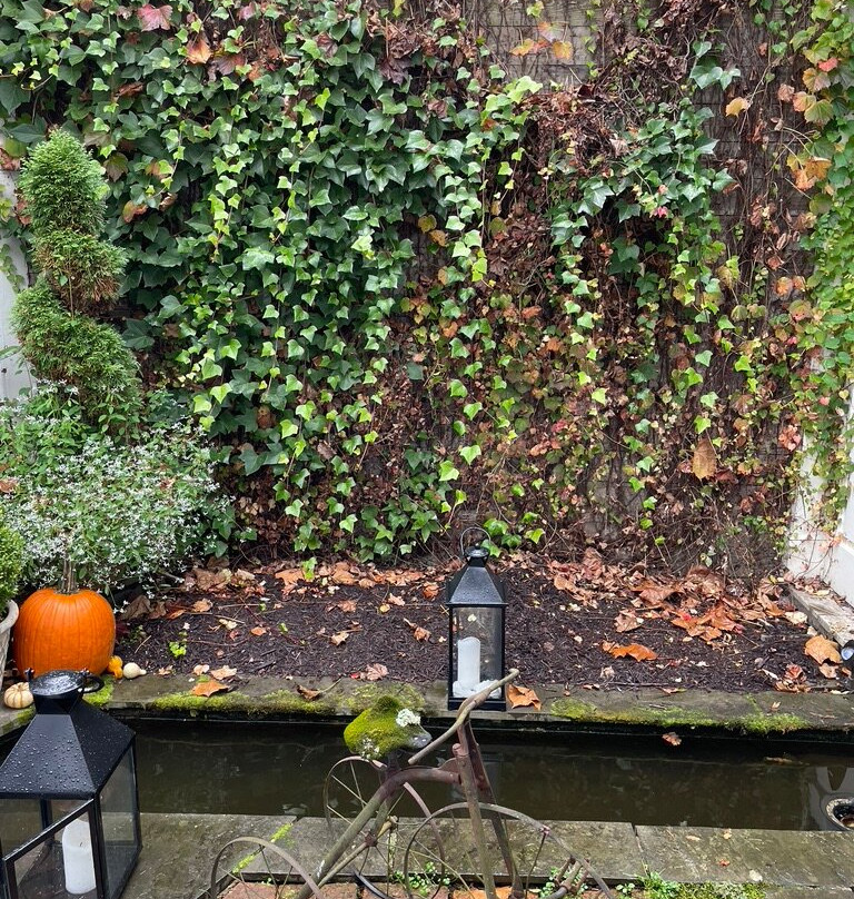 The Inn at Little Washington主图