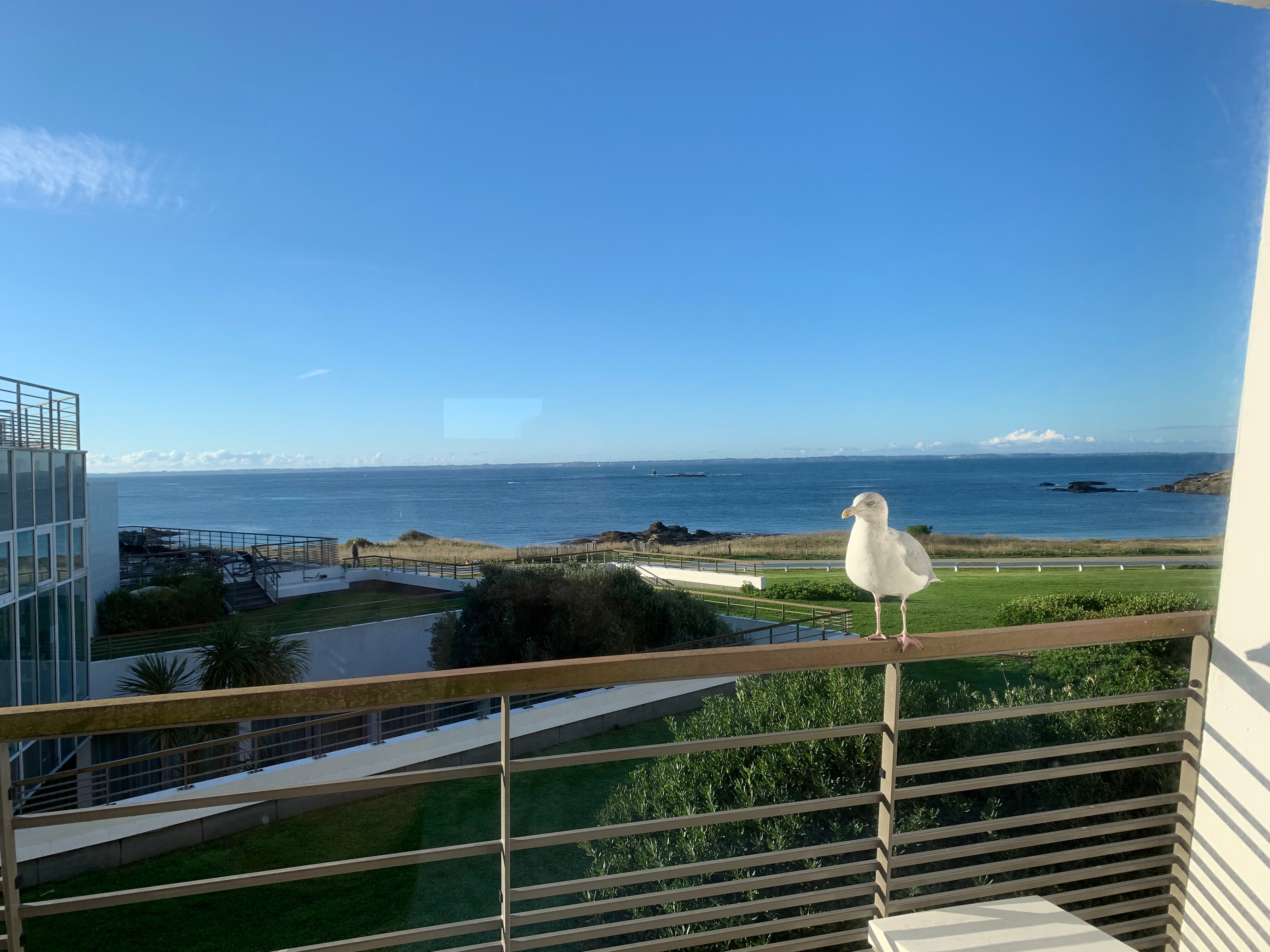 Sofitel Quiberon Thalassa Sea & Spa-酒店景观