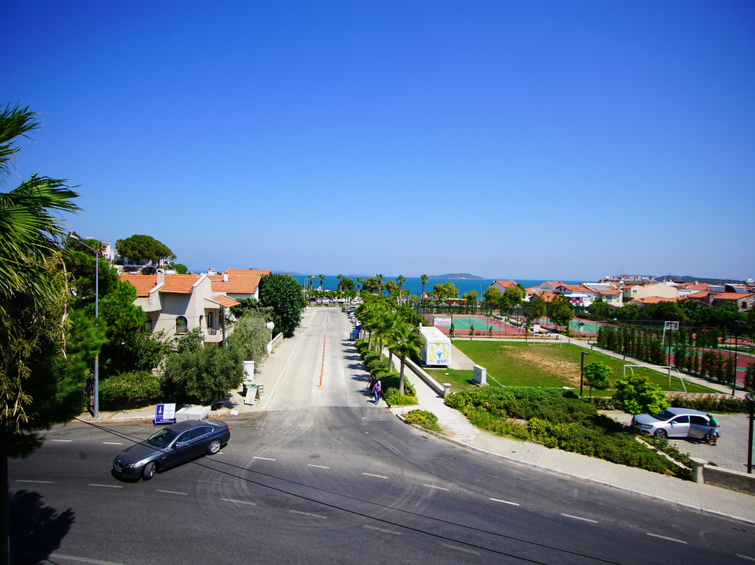 Urla Zeytin Otel主图