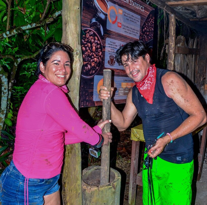 Hard Rock Casino Punta Cana-蓬塔卡纳必去景点