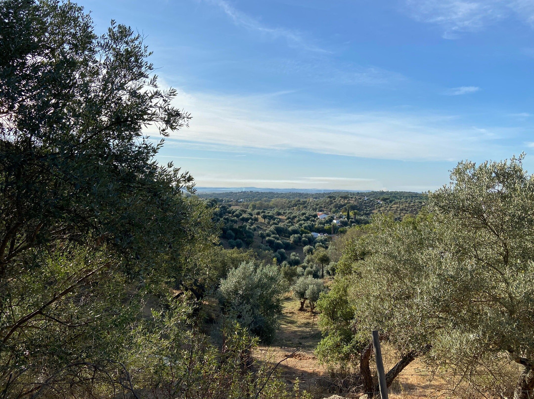 Herdade Água d'Alte主图