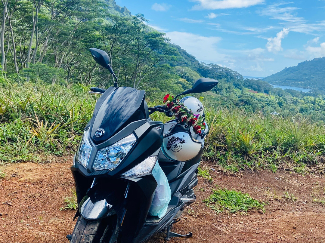 Moorea Scooter-莫雷阿岛必去景点