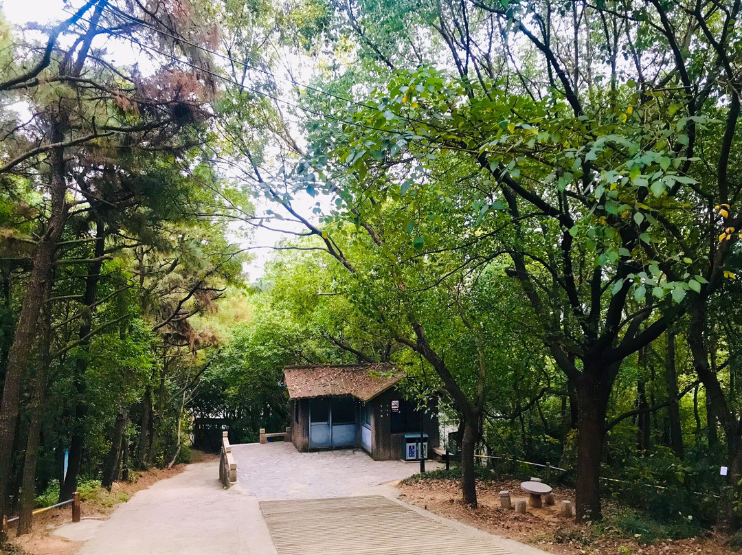 鹅鼻嘴公园-江阴市必去景点