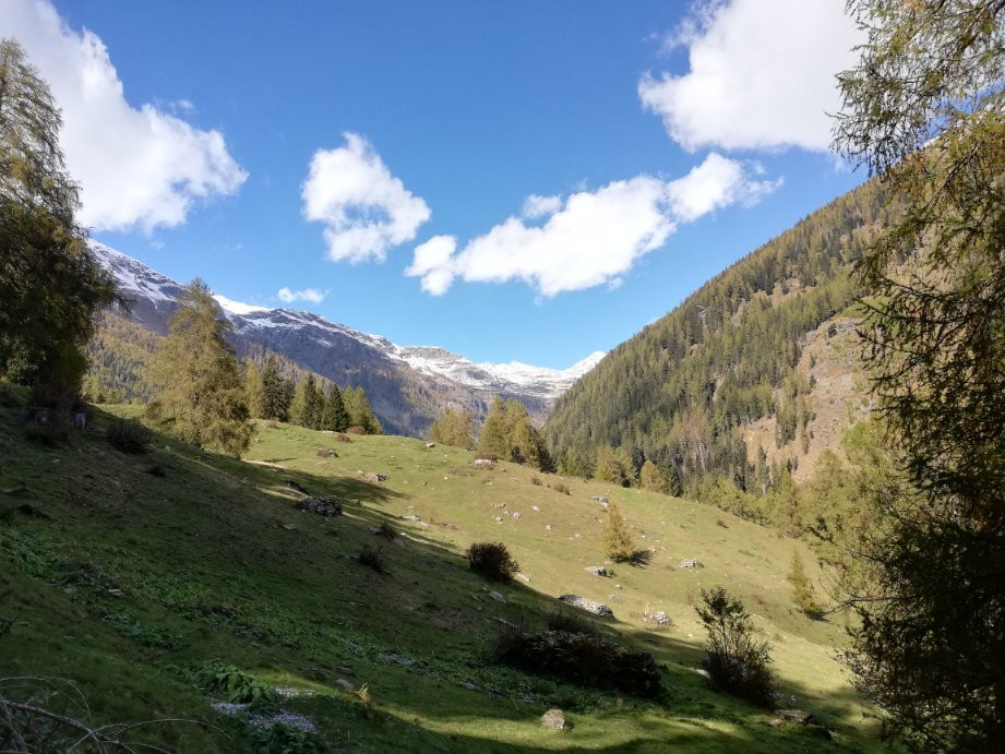 Parco Nazionale Dello Stelvio - Centro Visite di Rabbi景点图片