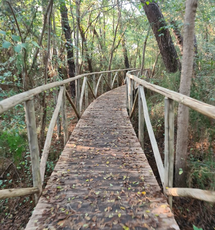 Giardino Botanico di Porto Caleri景点图片