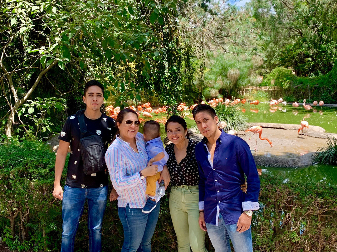 Africam Safari-普埃布拉必去景点