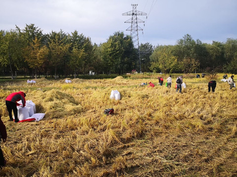 北京玉泉山-北京市必去景点