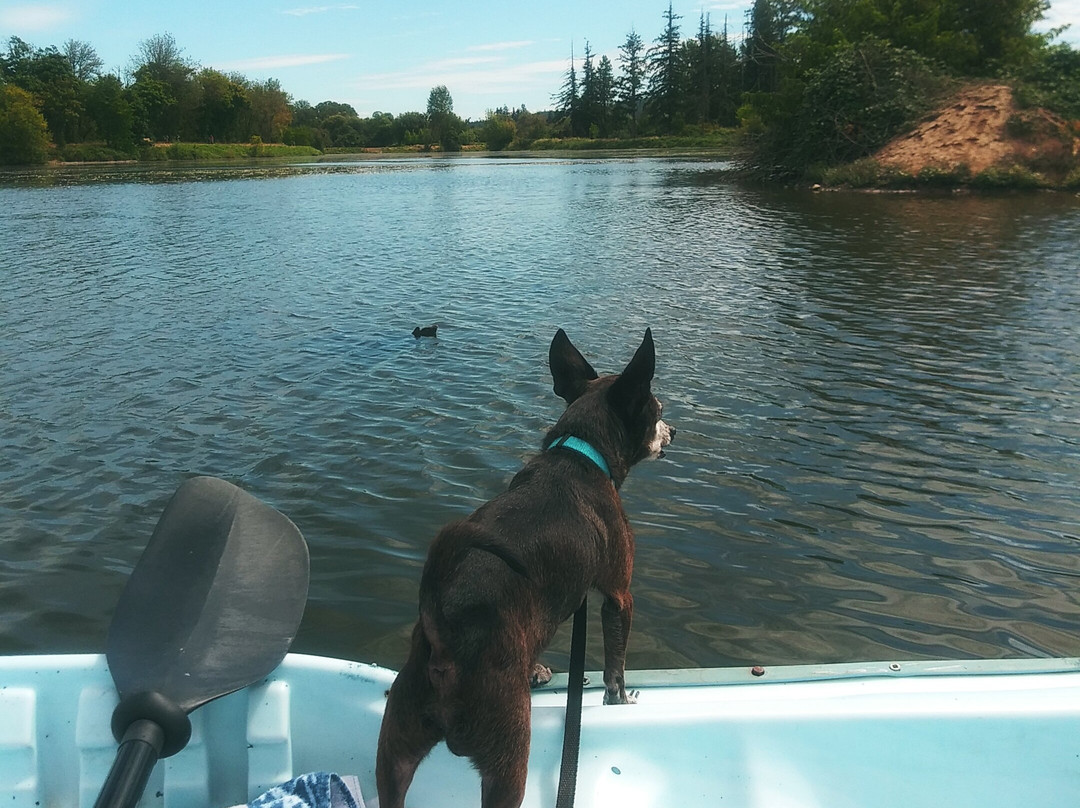 Cheadle Lake - North Shore Trail-Lebanon必去景点
