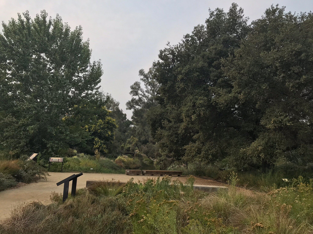 戴维斯大学植物园景点图片