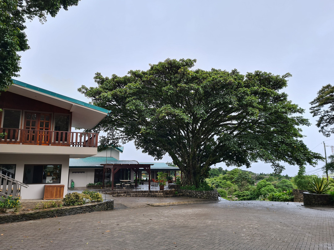 Senda Monteverde Hotel主图