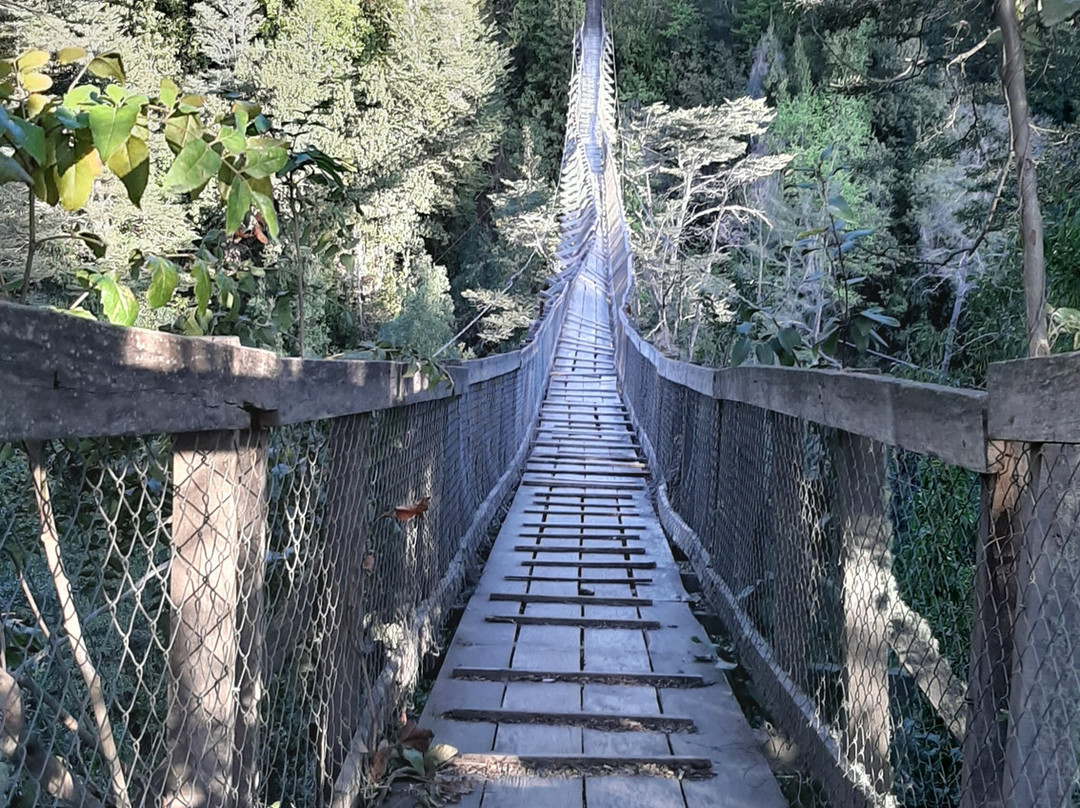 Pasarela Puente Basa Grande景点图片