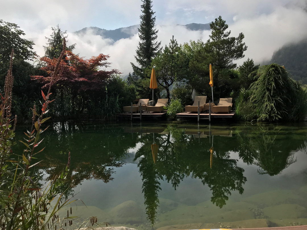 Wellnessresidenz Alpenrose主图