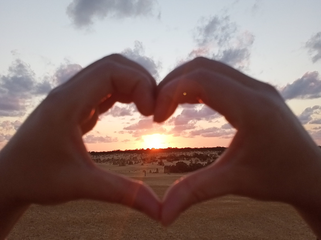 防风林住宿加早餐酒店主图