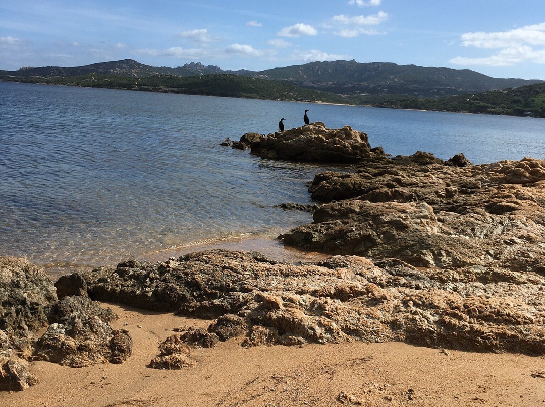 Golfo di Arzachena-Arzachena必去景点