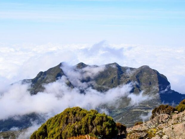 null-阿伯德尔国家公园