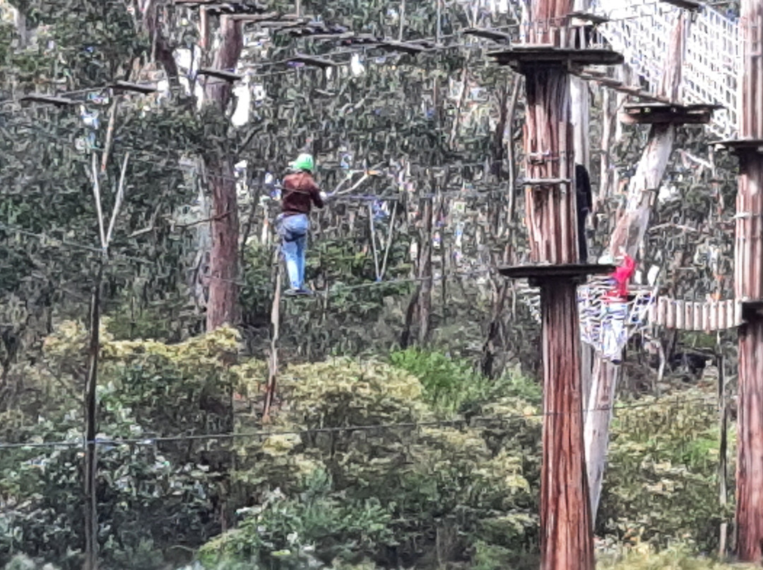 Live Wire Park-洛恩必去景点