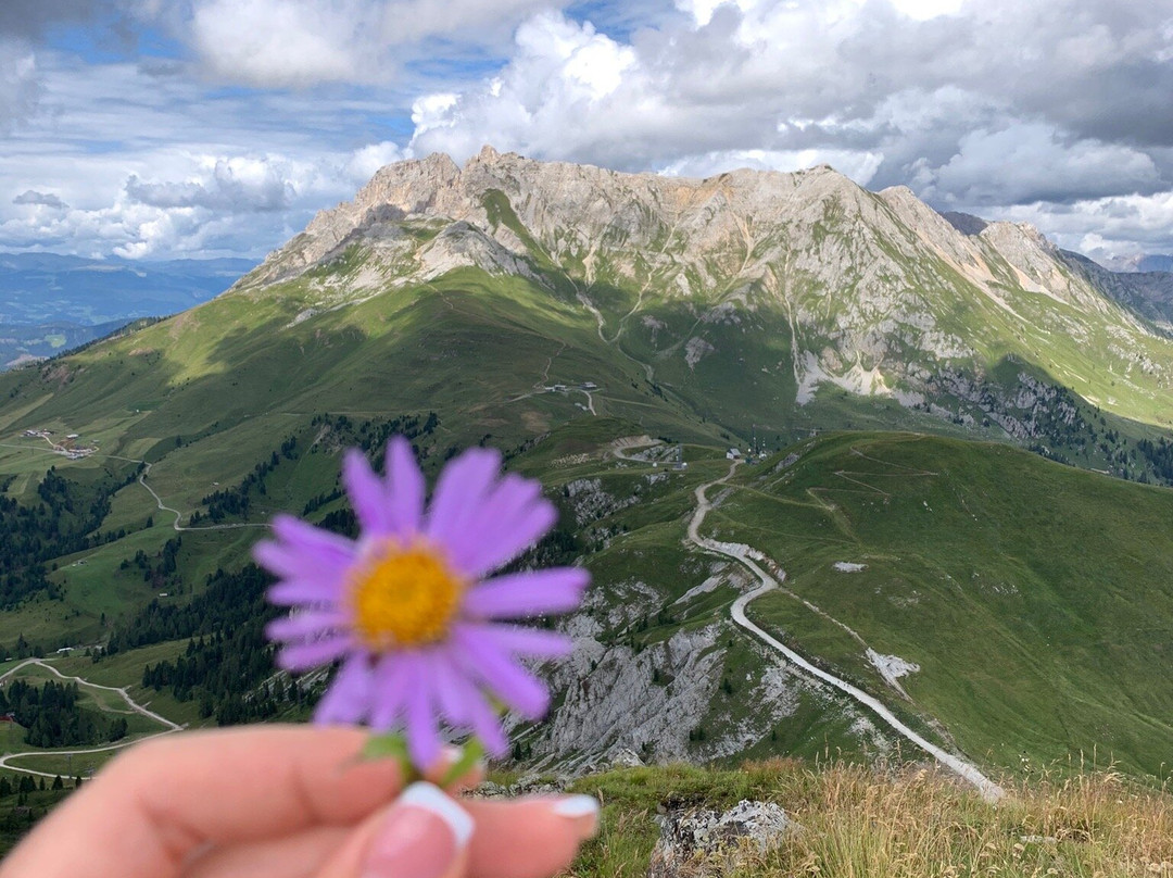 拉斯图亚酒店主图