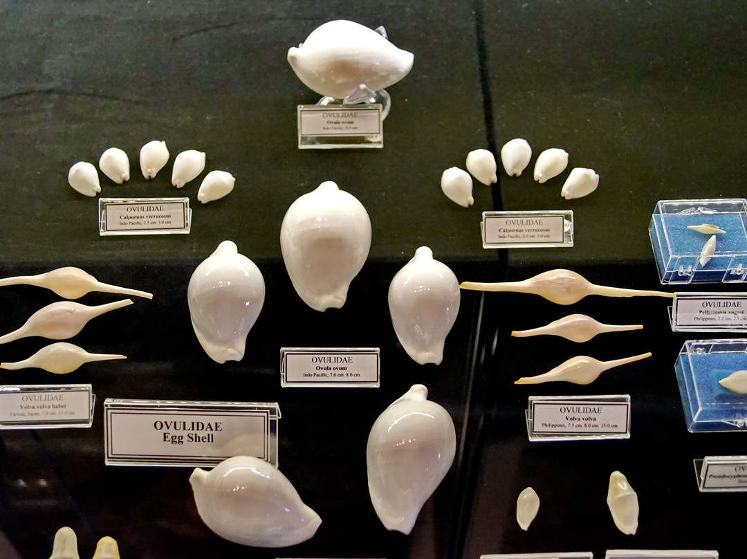 Bodrum Maritime Museum景点图片