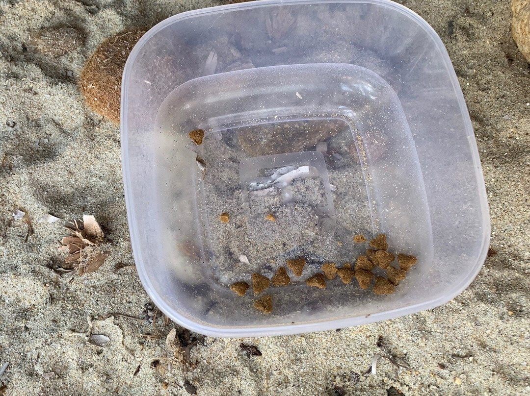 Entu Beach Bar-Castiadas必去景点