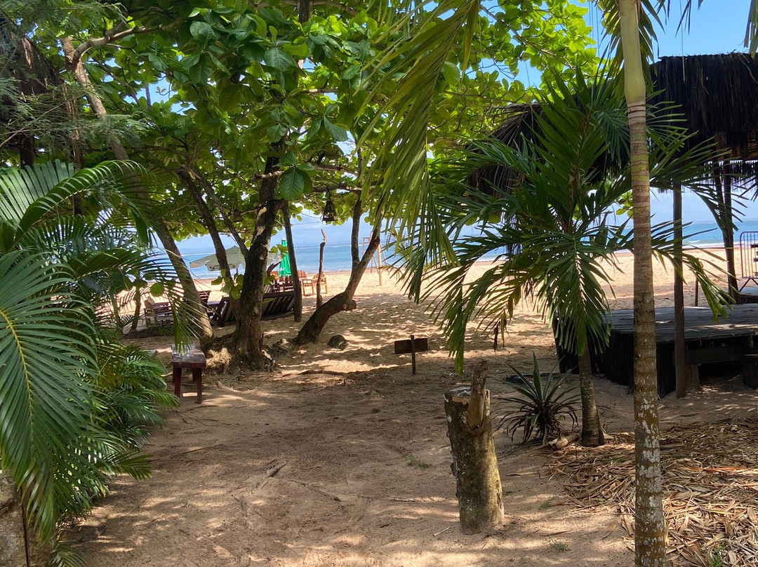 Pousada Raiz Do Mutá主图