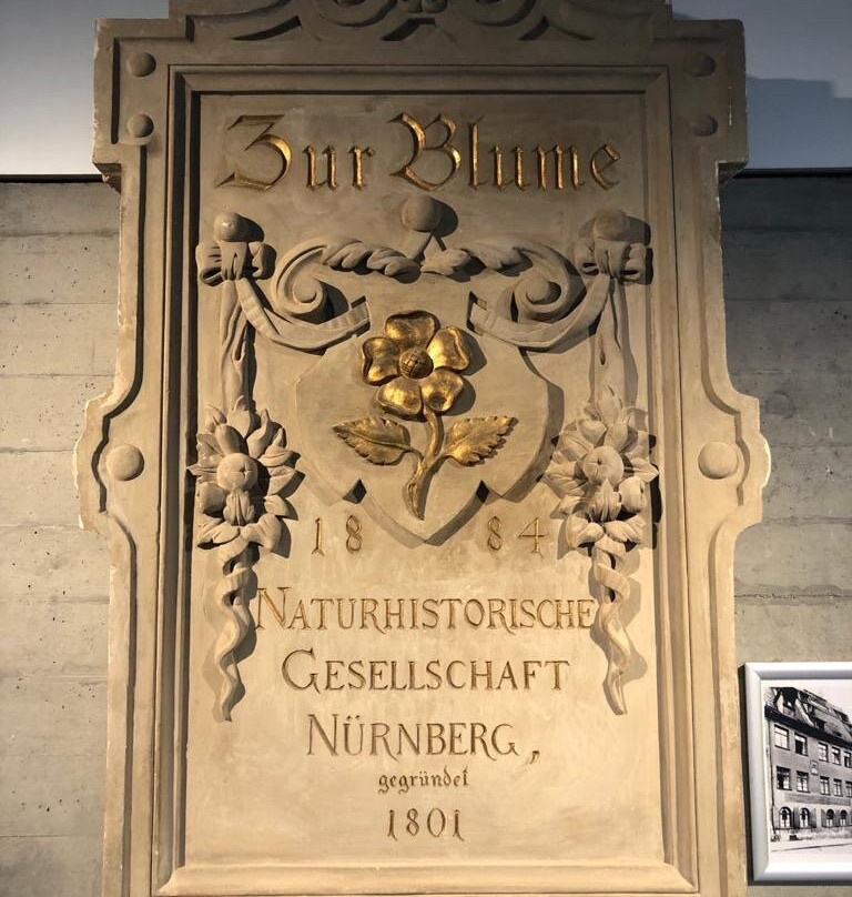 Naturhistorisches Museum-纽伦堡必去景点
