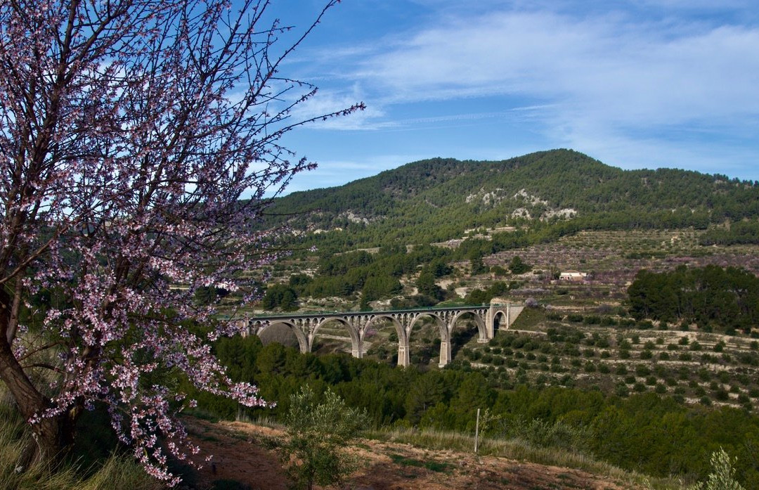 Hotel Con Encanto La Mota B&B主图