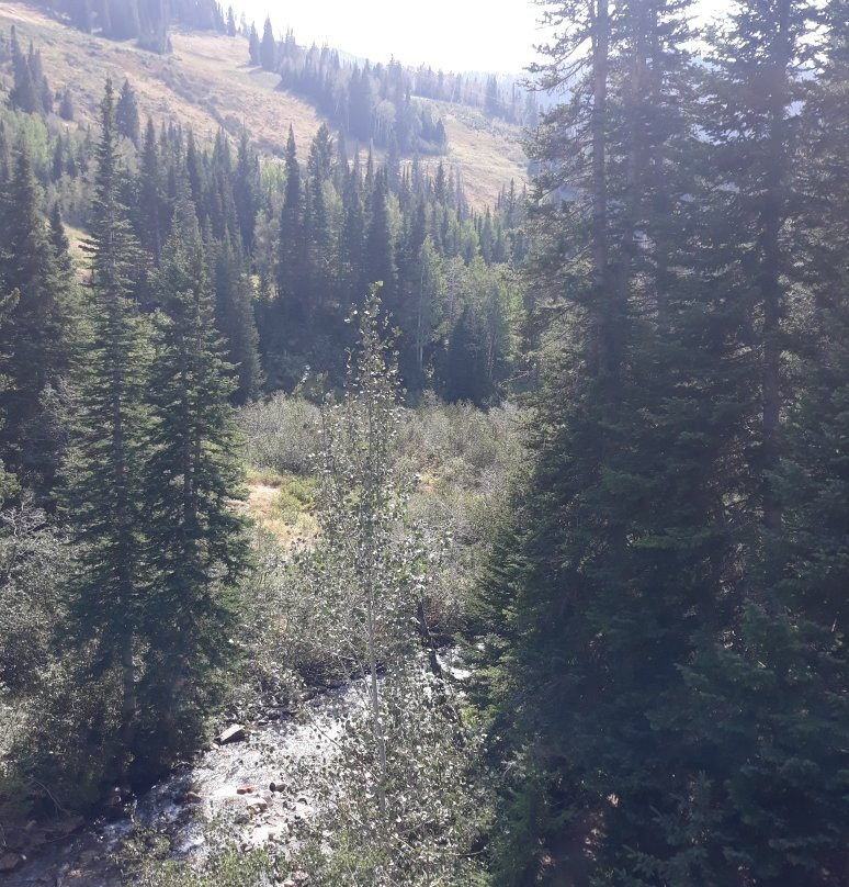 Snowbird-布莱敦必去景点