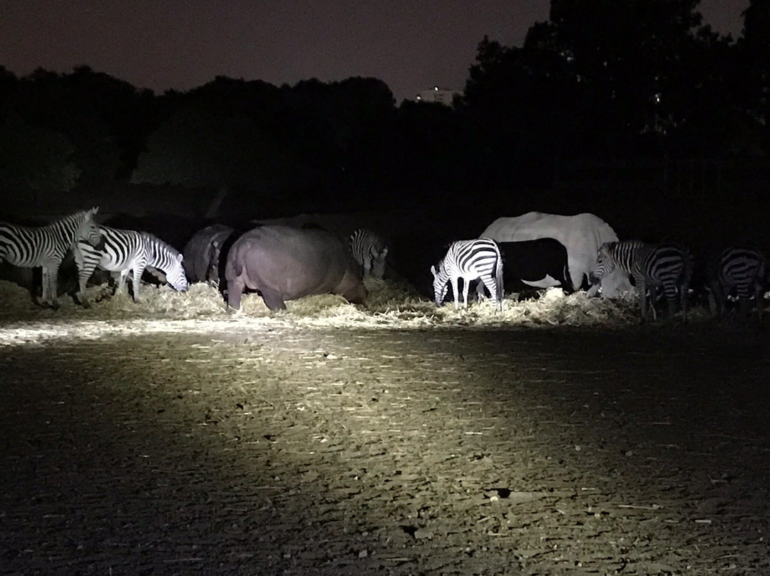 Ramat Gan Safari-拉马干必去景点