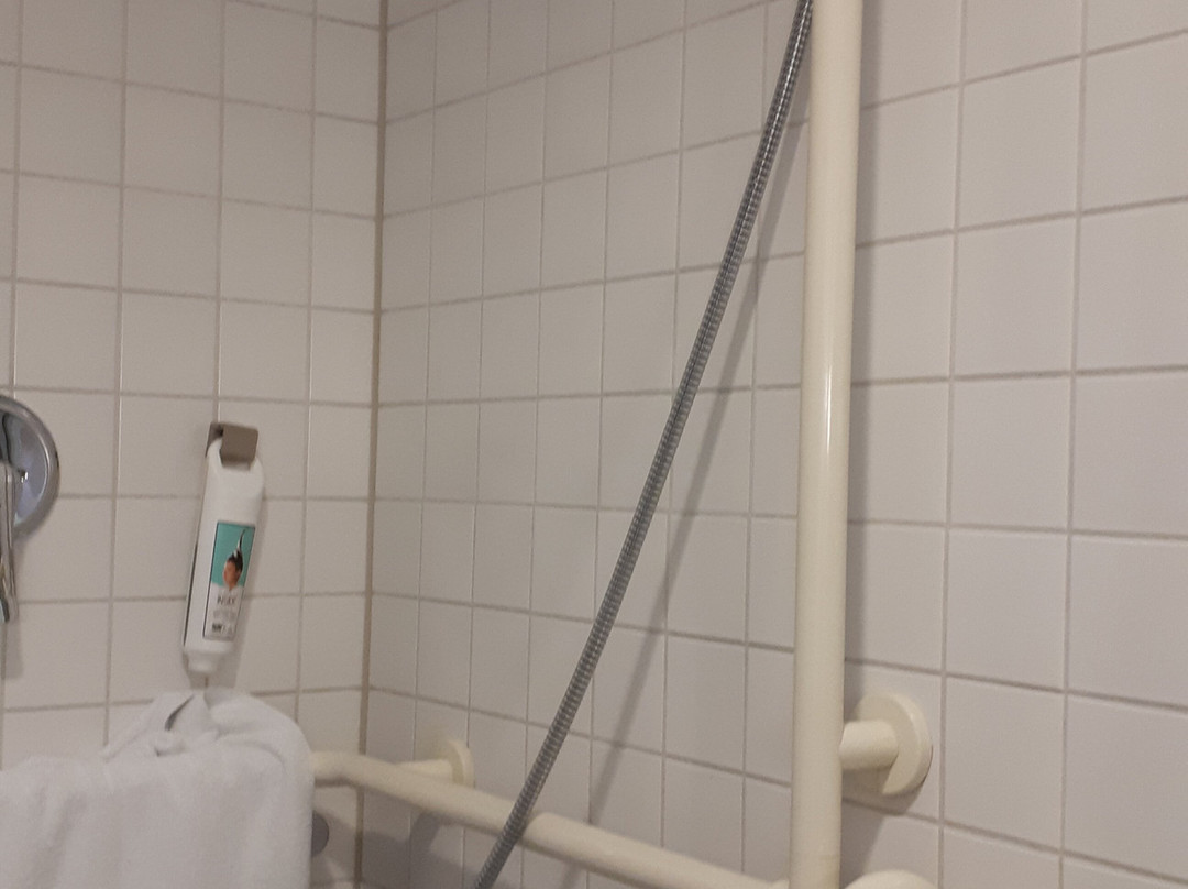 Ibis Jena City Hotel主图