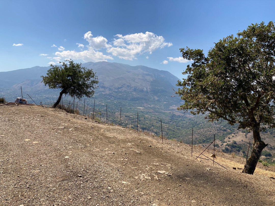 Quad Excursions Cefalù-切法卢必去景点