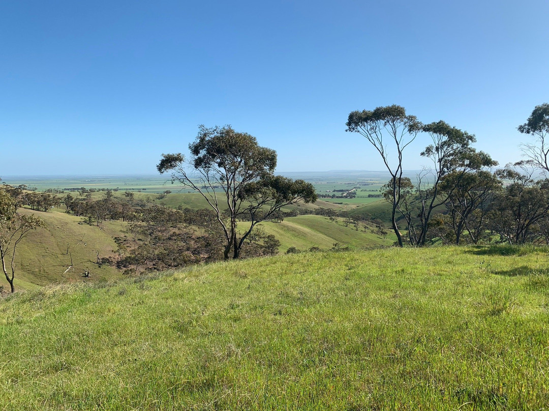 Spring Gully Conservation Park-Sevenhill必去景点
