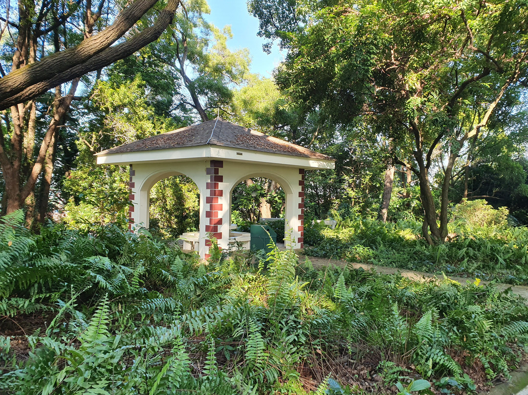 Kent Ridge Park景点图片