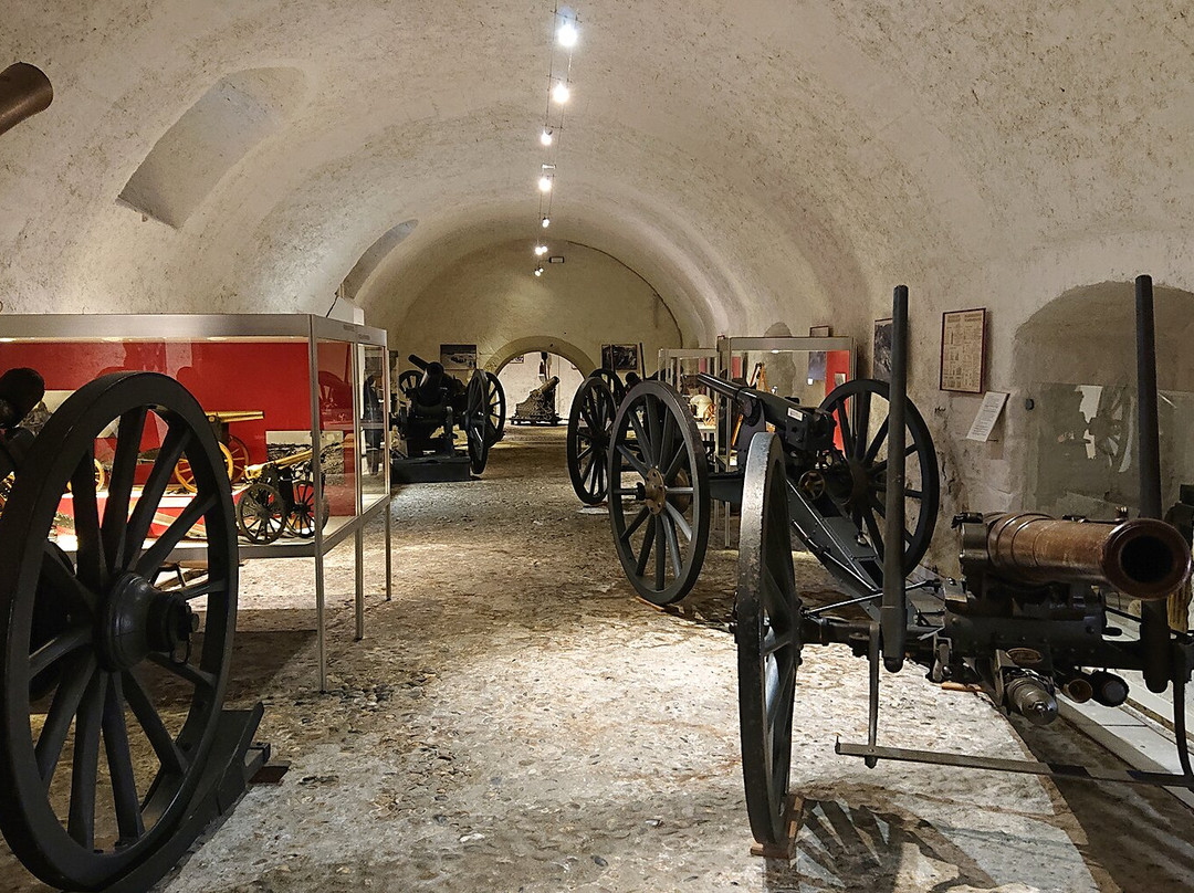 莫尔日旅游景点-Vaud Military Museum