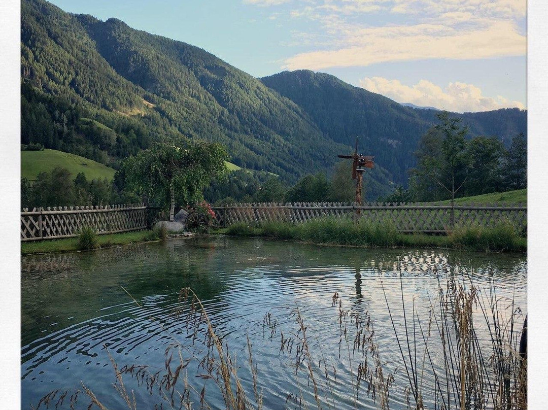 Pensione Graushof主图