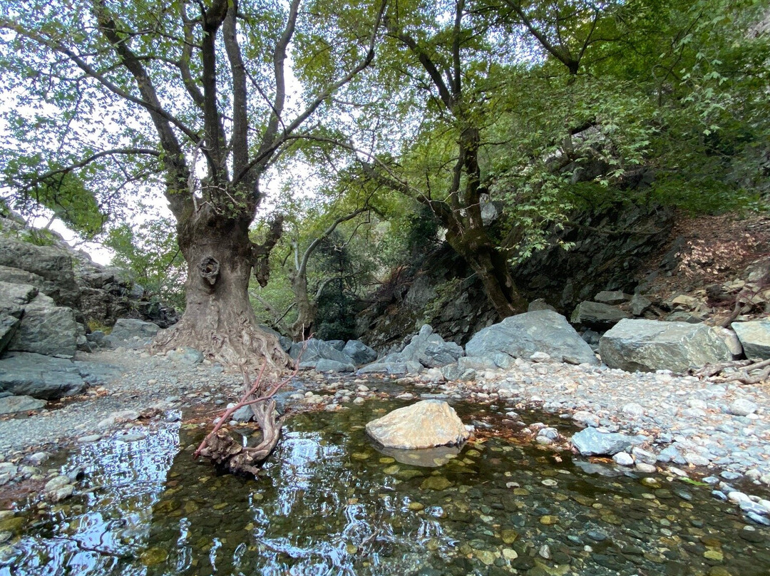Gria Vathra-Samothráki必去景点