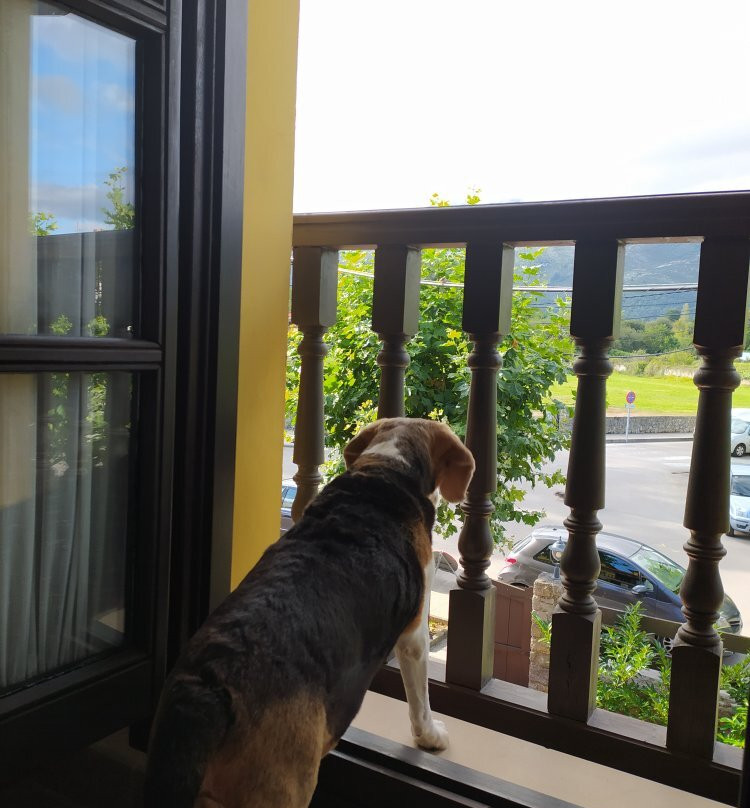 Hotel The Island主图