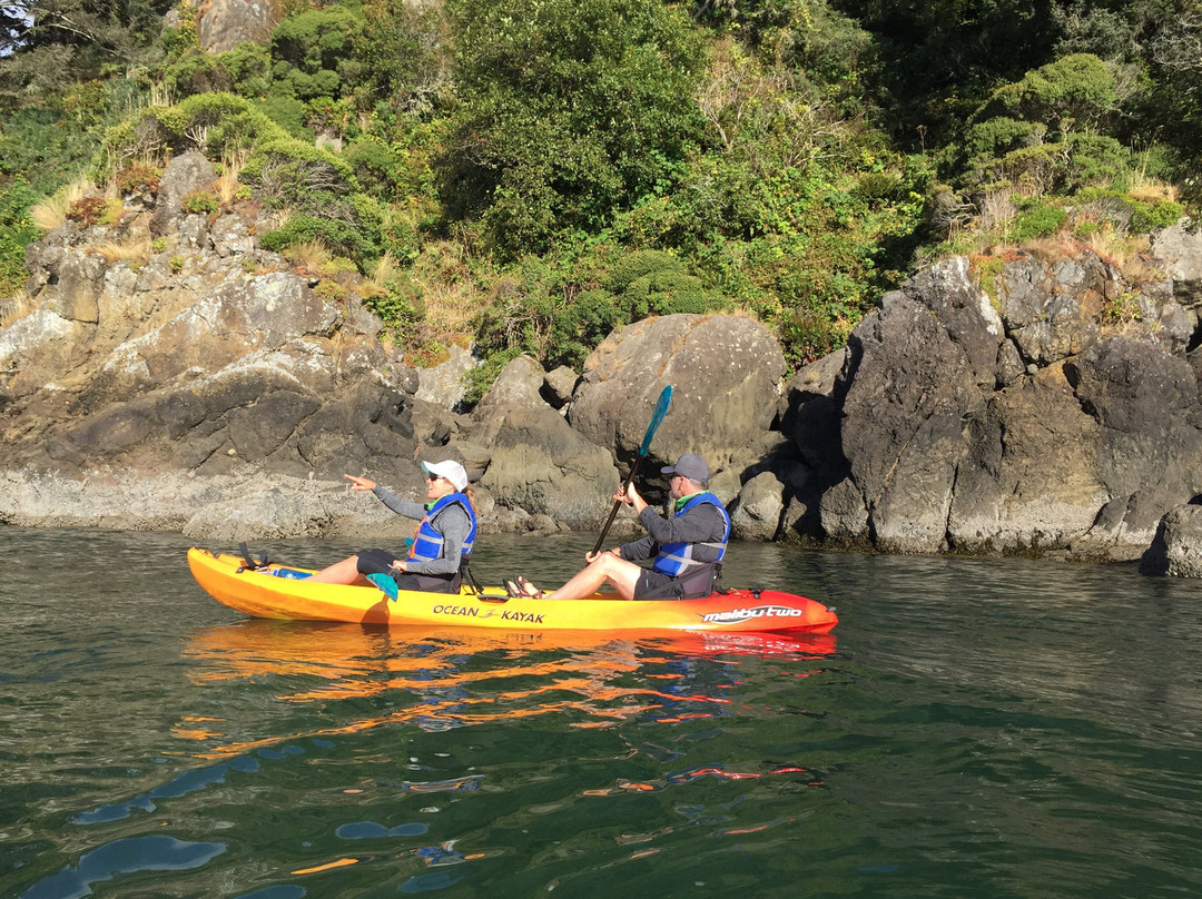 Safari Town Surf Shop-林肯城必去景点