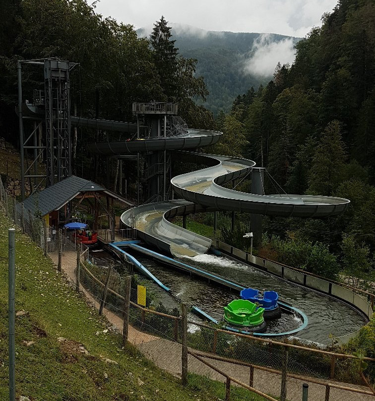 Steinwasen Park-Oberried必去景点