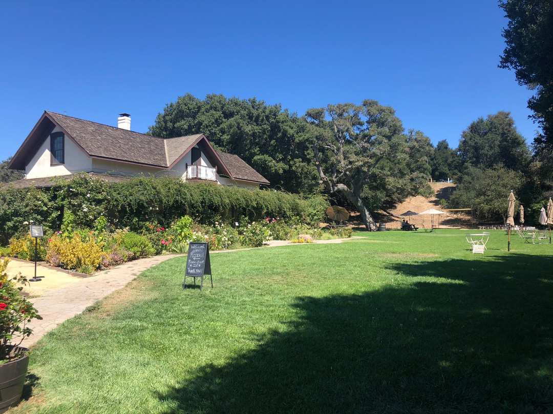 丽都葡萄园-索尔万必去景点