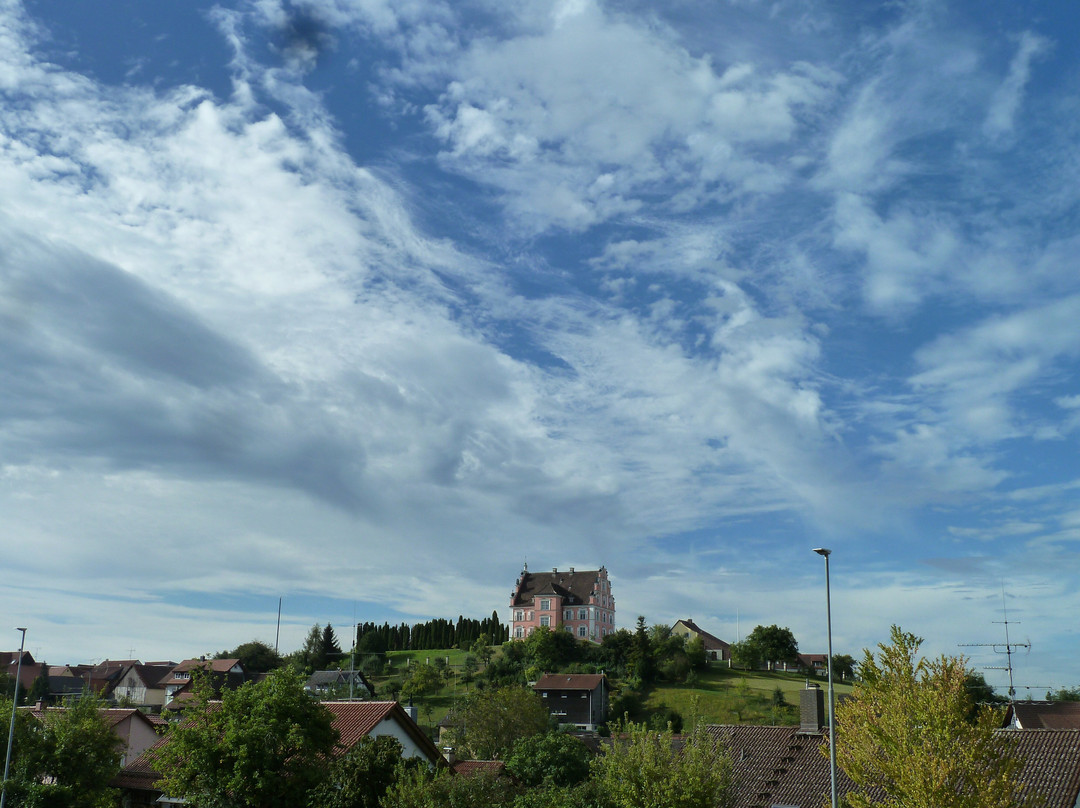 Schloss Freudental主图