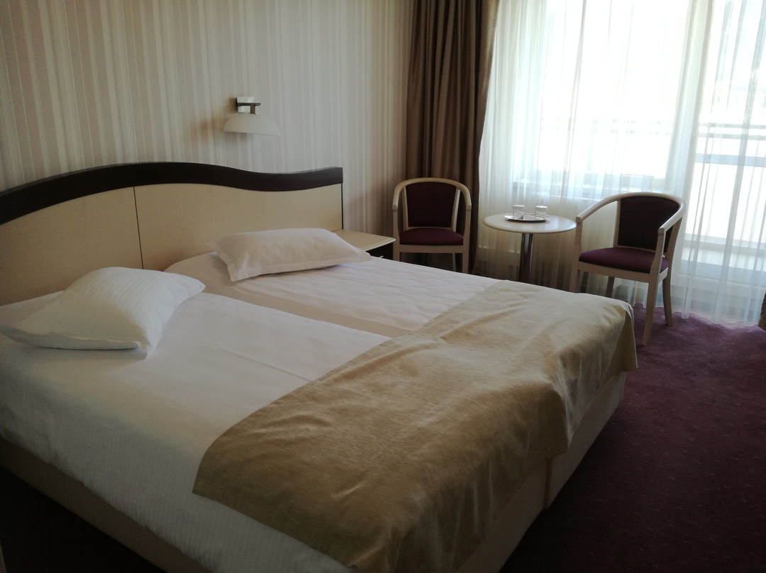 Hotel Caprioara主图